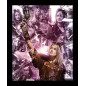 PACK - intégrale Artbooks 10e et 15e anniversaire NOOB & The art of Olydriverse PACK - intégrale Artbooks 10e et 15e anniversaire NOOB & The art of Olydriverse